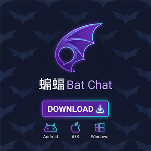 蝙蝠聊天 - 蝙蝠聊天软件信息归档最佳实践